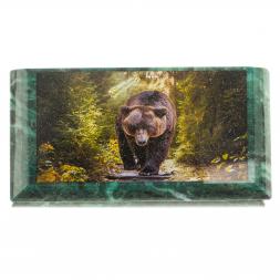 Шкатулка с иллюстрацией "Медведь в еловом лесу" камень змеевик 17,5х9,5х7,5 см